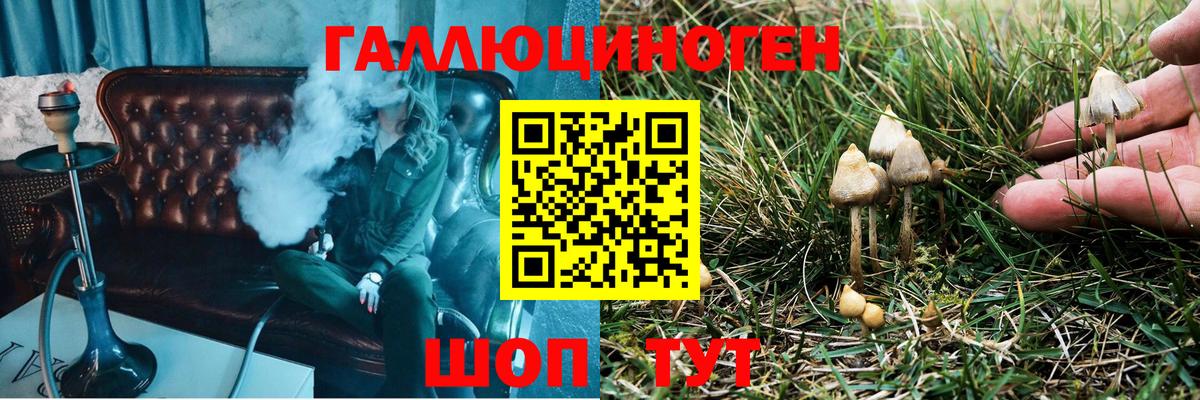 Галлюциногенные грибы Cubensis  Галлюциногенные грибы GOLDEN TEACHER  Брянск  Вход с VPN 